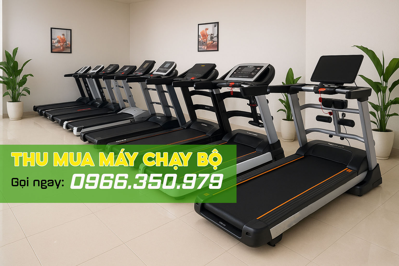 Thu mua máy chạy bộ Kingsport, elip