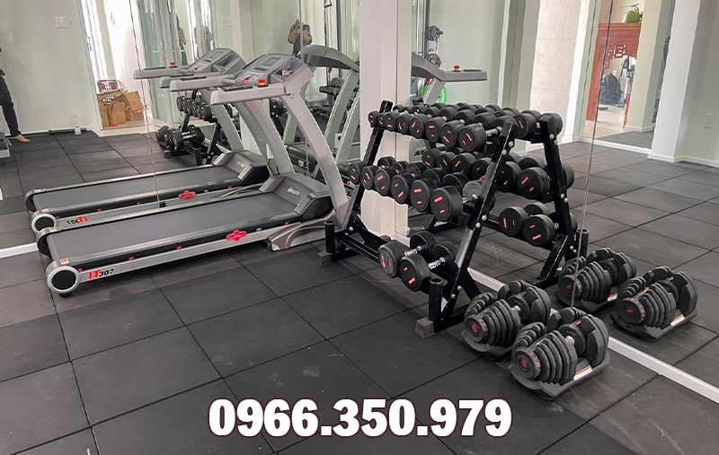 Thu mua dụng cụ gym, máy móc, thiết bị thể dục thể thao tại tphcm