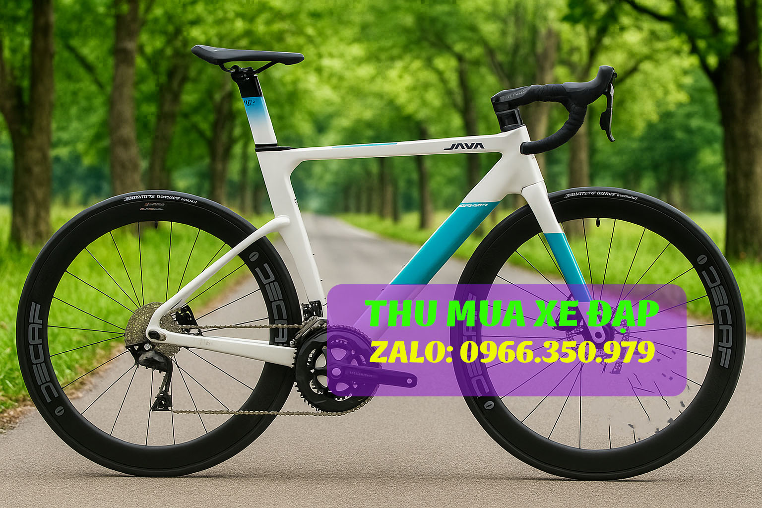 Thu mua xe đạp cũ Trek, Giant, Sava, Java