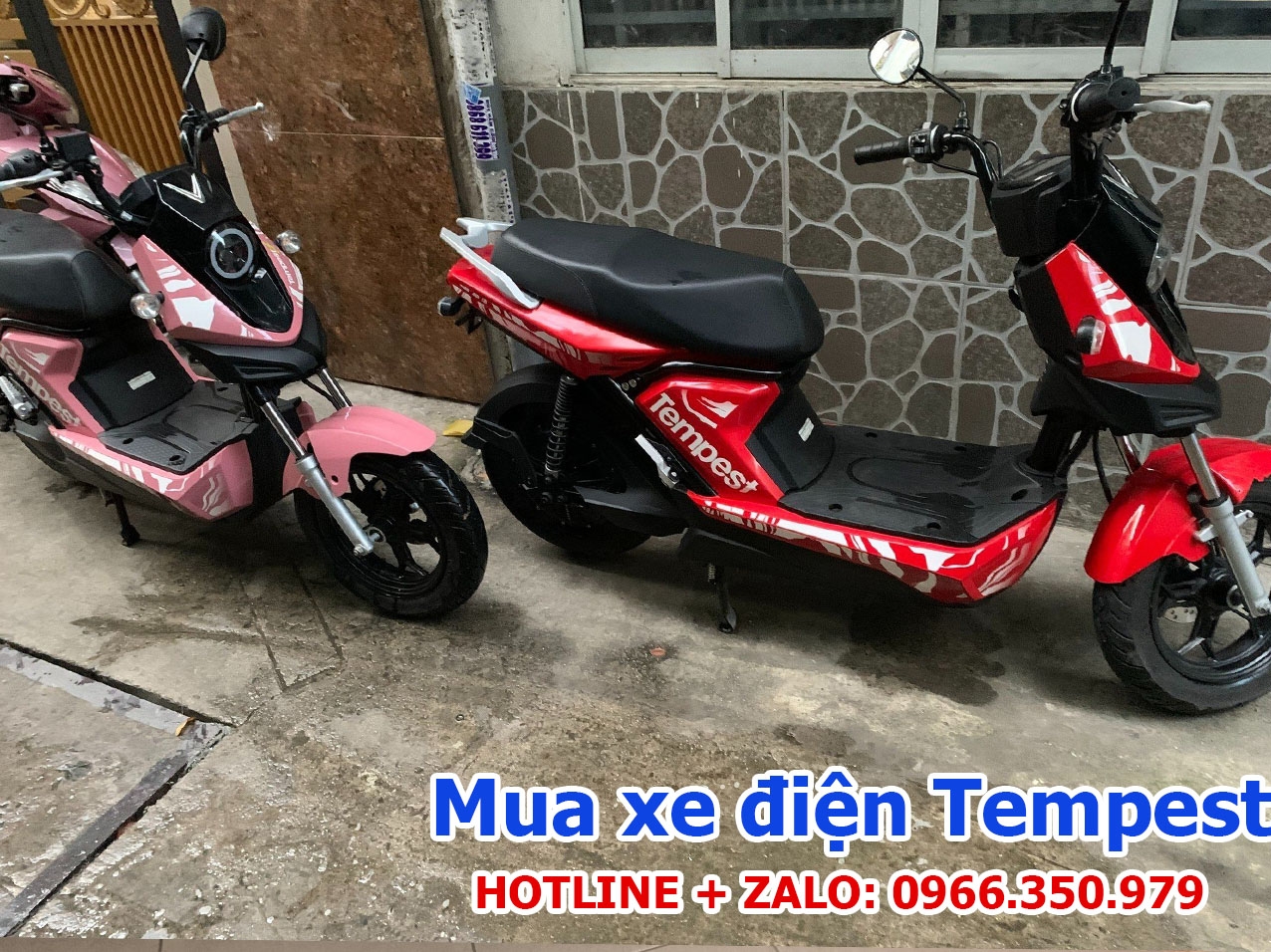 Thu mua xe điện Tempest